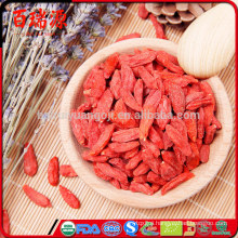 Fresh goji fruit what are goji berries goji berries nutrition in Chinese medicine